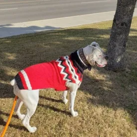 Chilly Dog Red Fairisle Dog Sweater for XS to XXL Dogs