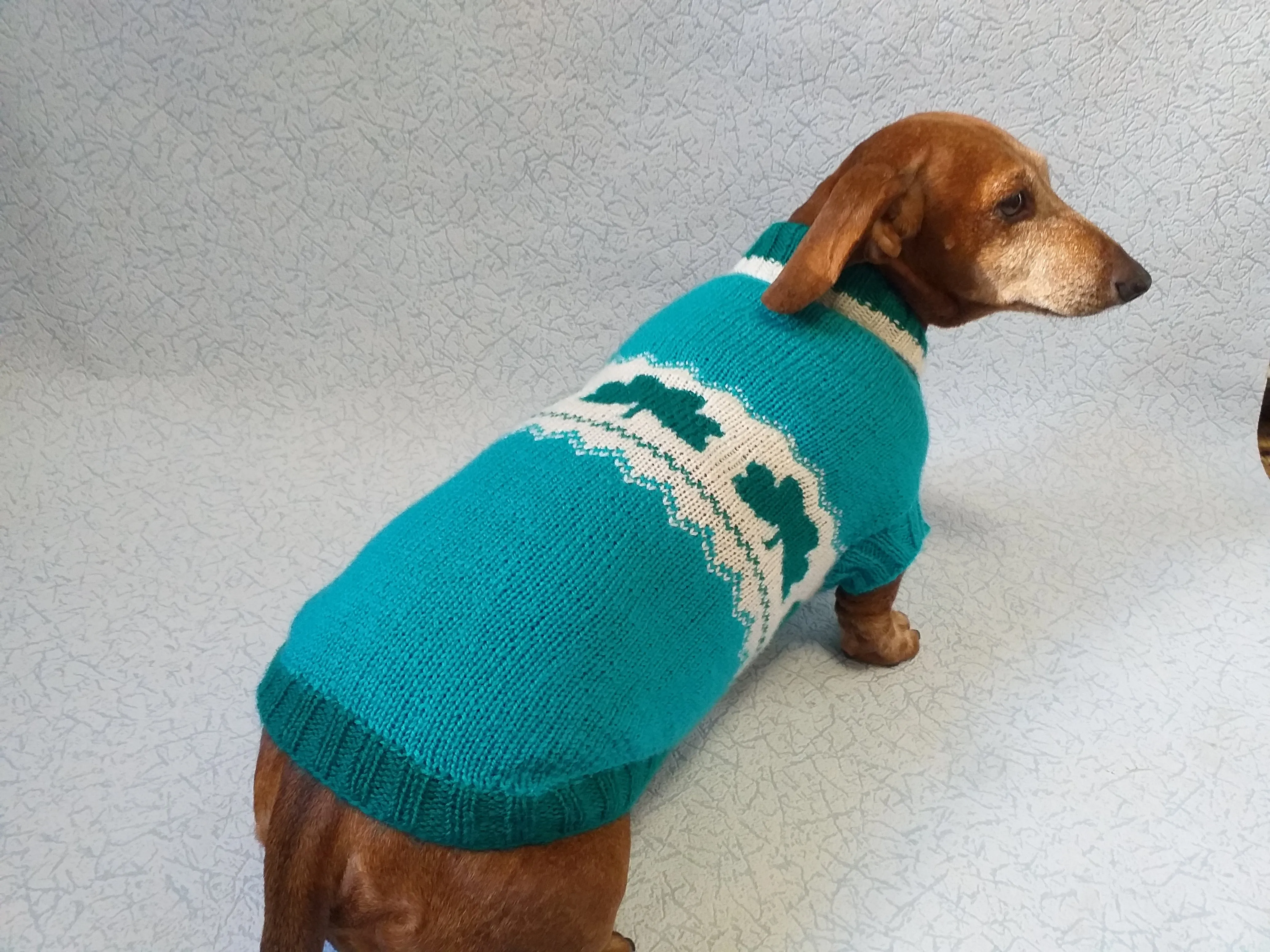 Dachshund clover clothing St. Patrick's Day, dog clover sweater