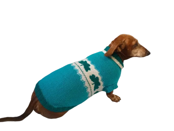 Dachshund clover clothing St. Patrick's Day, dog clover sweater