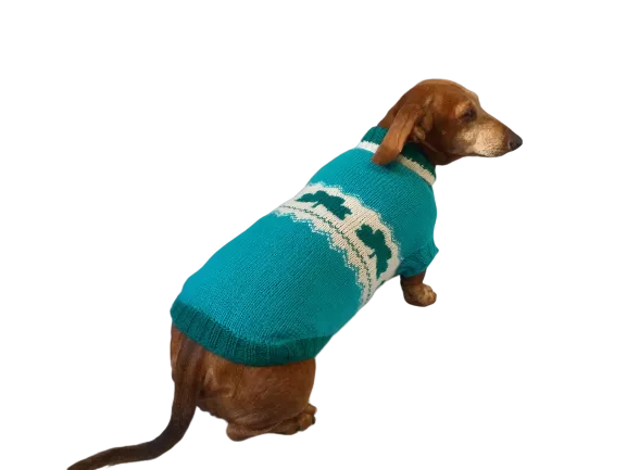 Dachshund clover clothing St. Patrick's Day, dog clover sweater