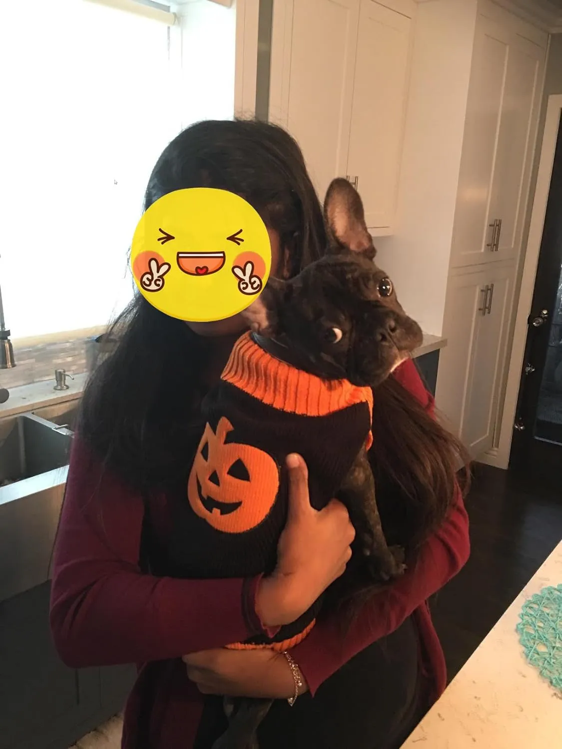 Dog Sweaters, Halloween Pet Clothes for Dog Cat