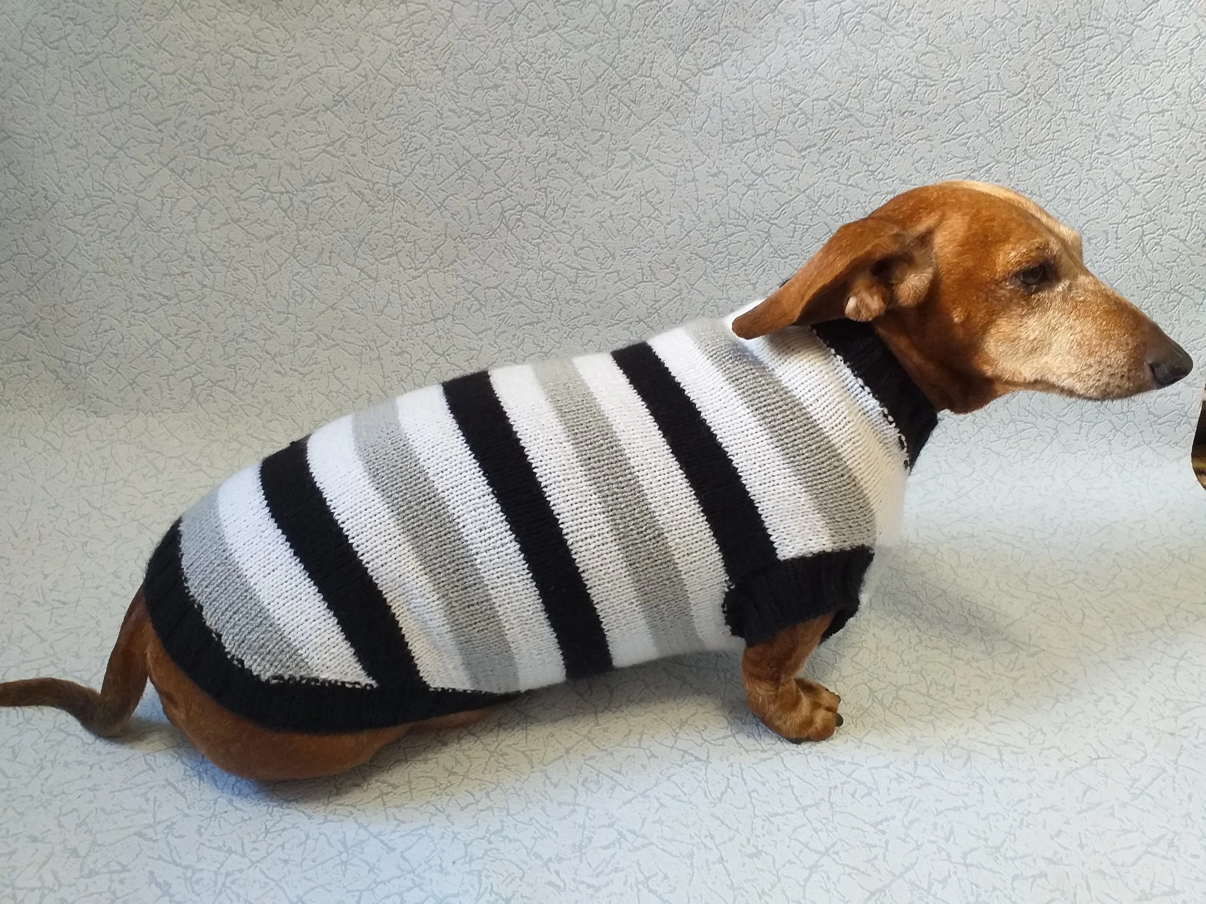 Knitted sweater for small dog clothes for dachshunds