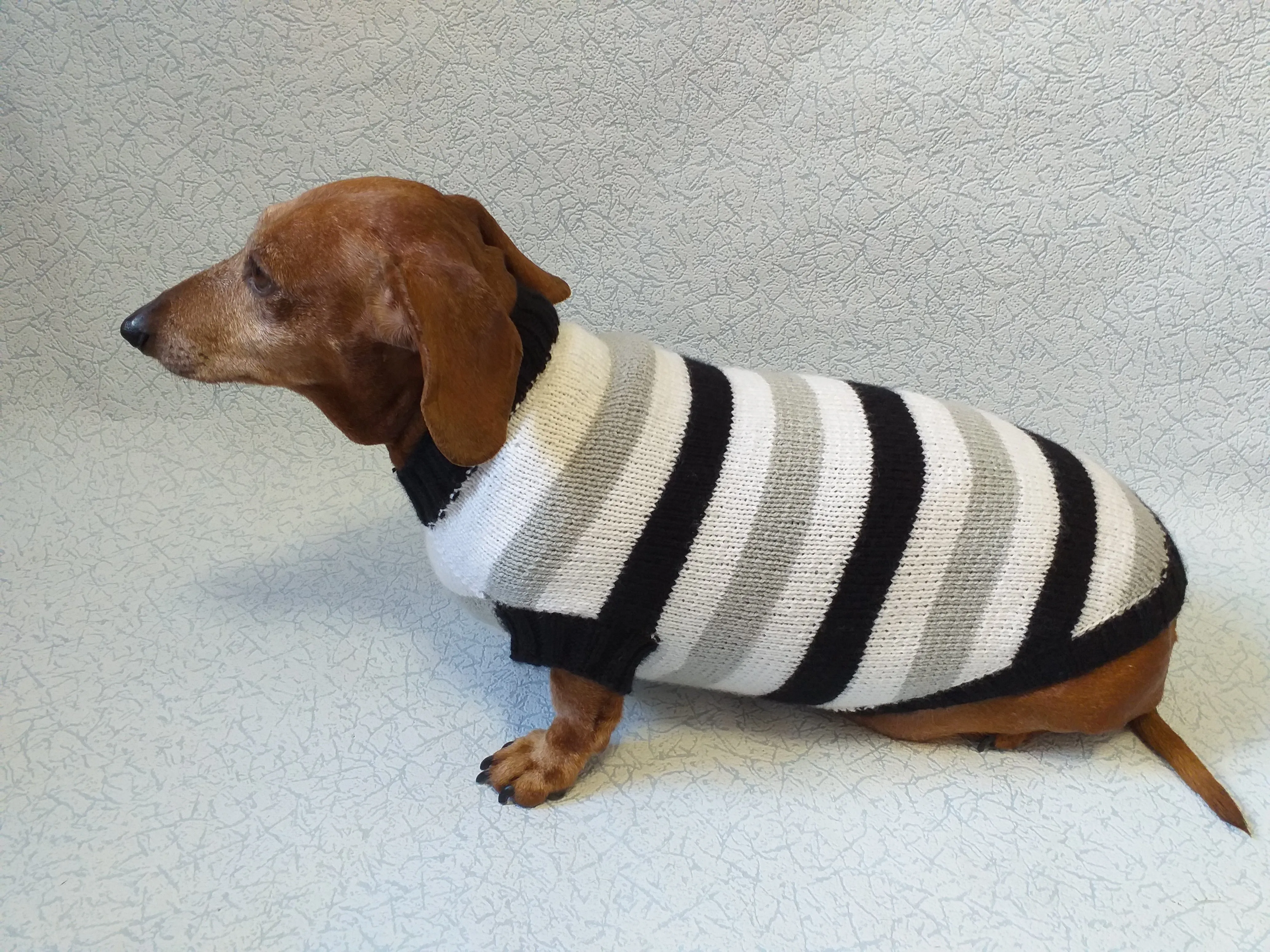 Knitted sweater for small dog clothes for dachshunds