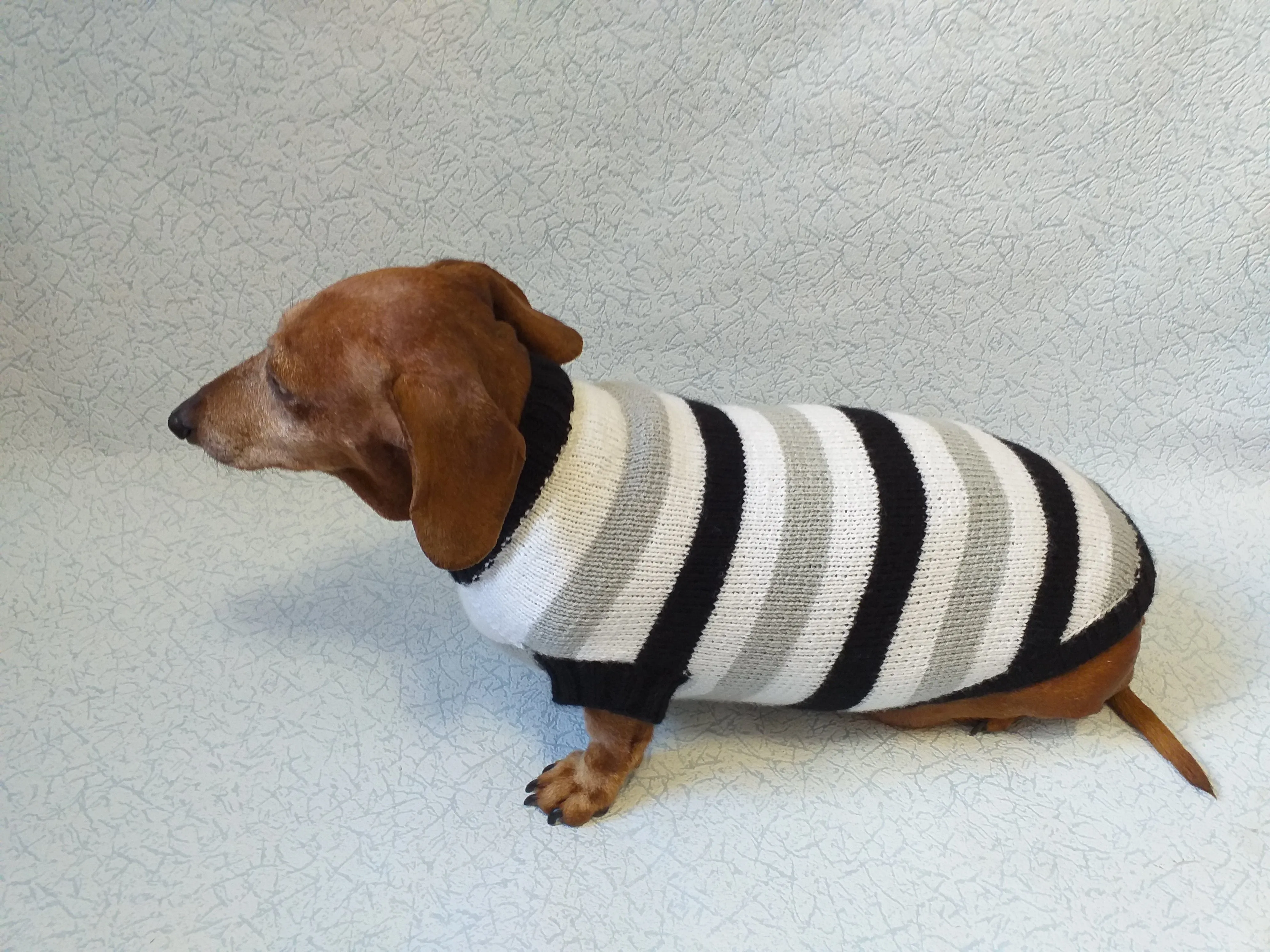 Knitted sweater for small dog clothes for dachshunds