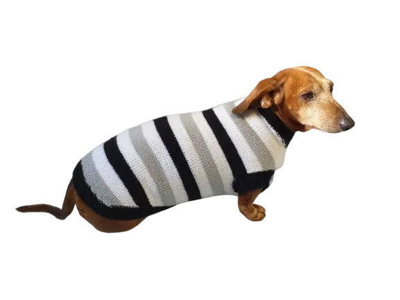 Knitted sweater for small dog clothes for dachshunds