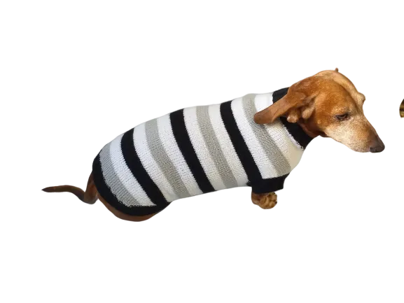 Knitted sweater for small dog clothes for dachshunds