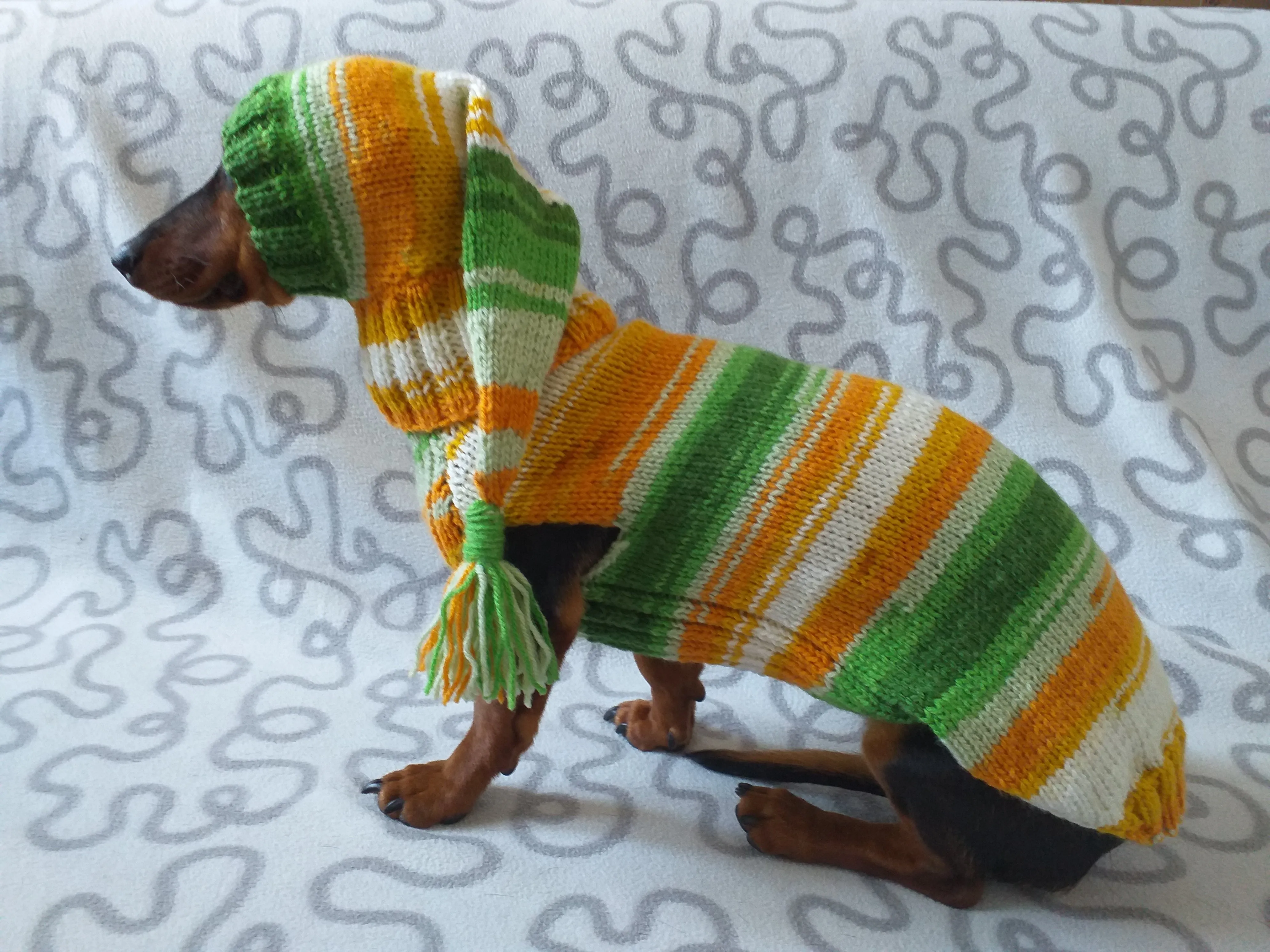 Santa costume for mini dachshund or small dog knitted sweater and hat,suit for dogs hat and sweater, clothes for dachshund