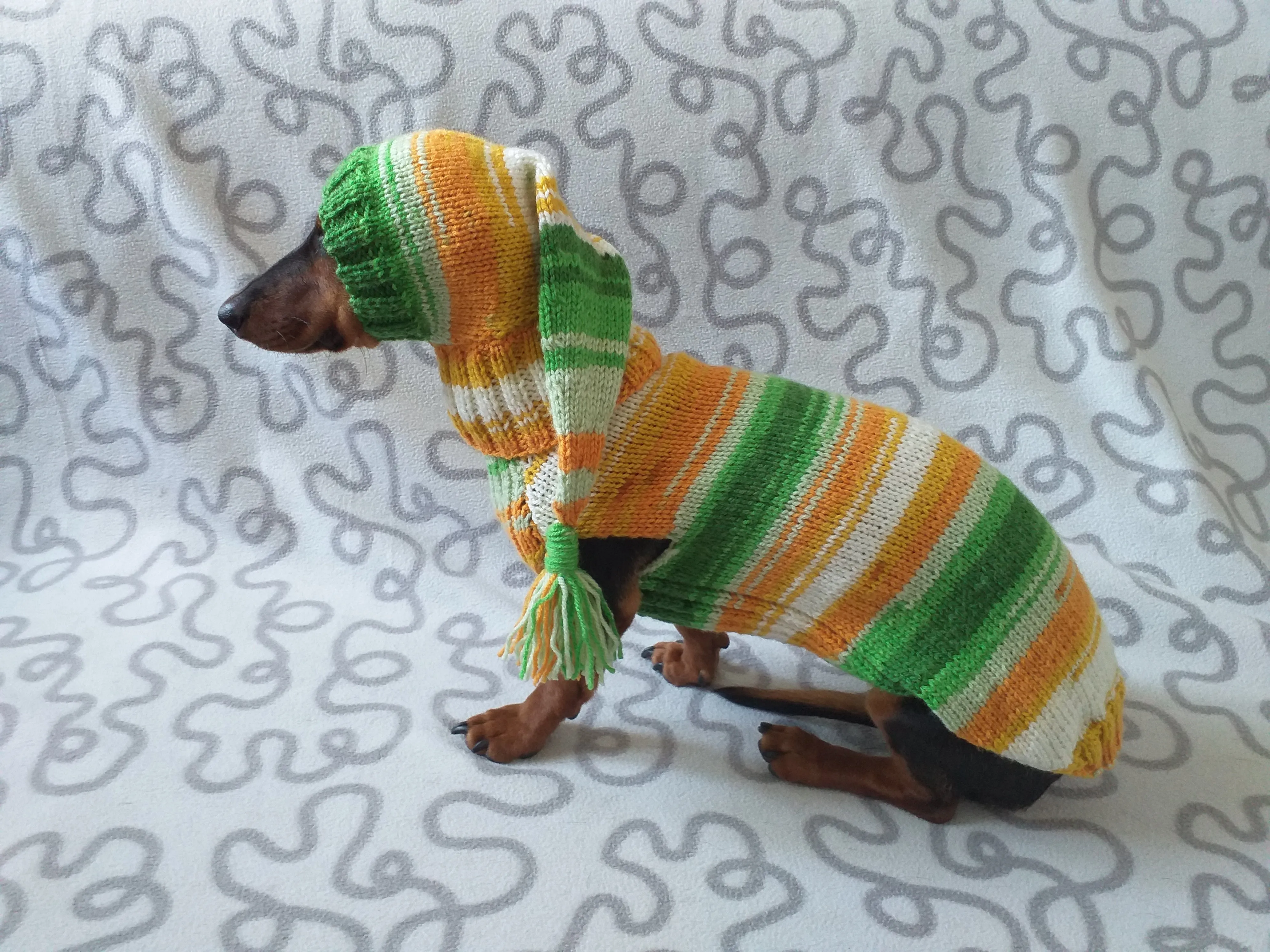 Santa costume for mini dachshund or small dog knitted sweater and hat,suit for dogs hat and sweater, clothes for dachshund