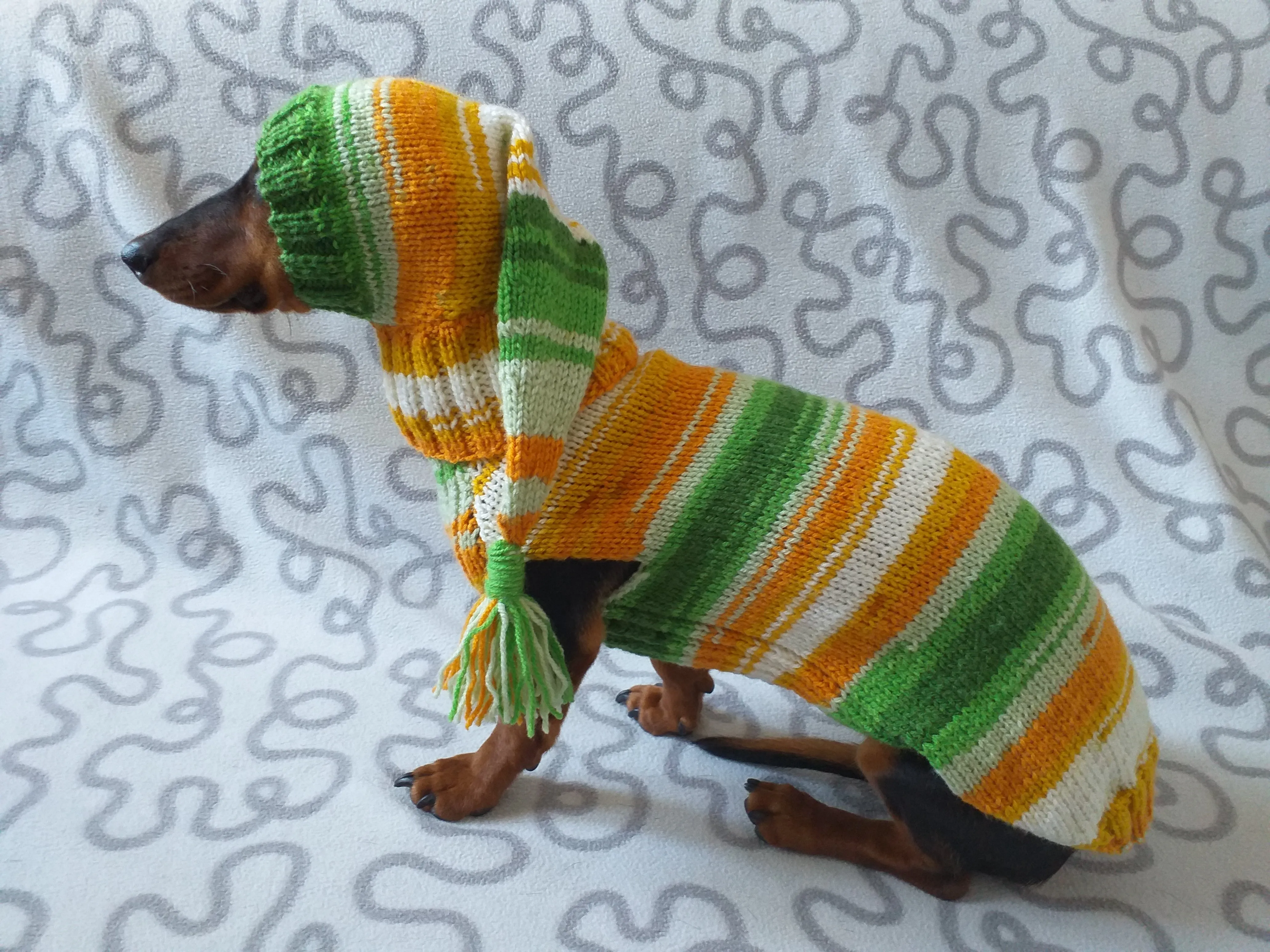 Santa costume for mini dachshund or small dog knitted sweater and hat,suit for dogs hat and sweater, clothes for dachshund