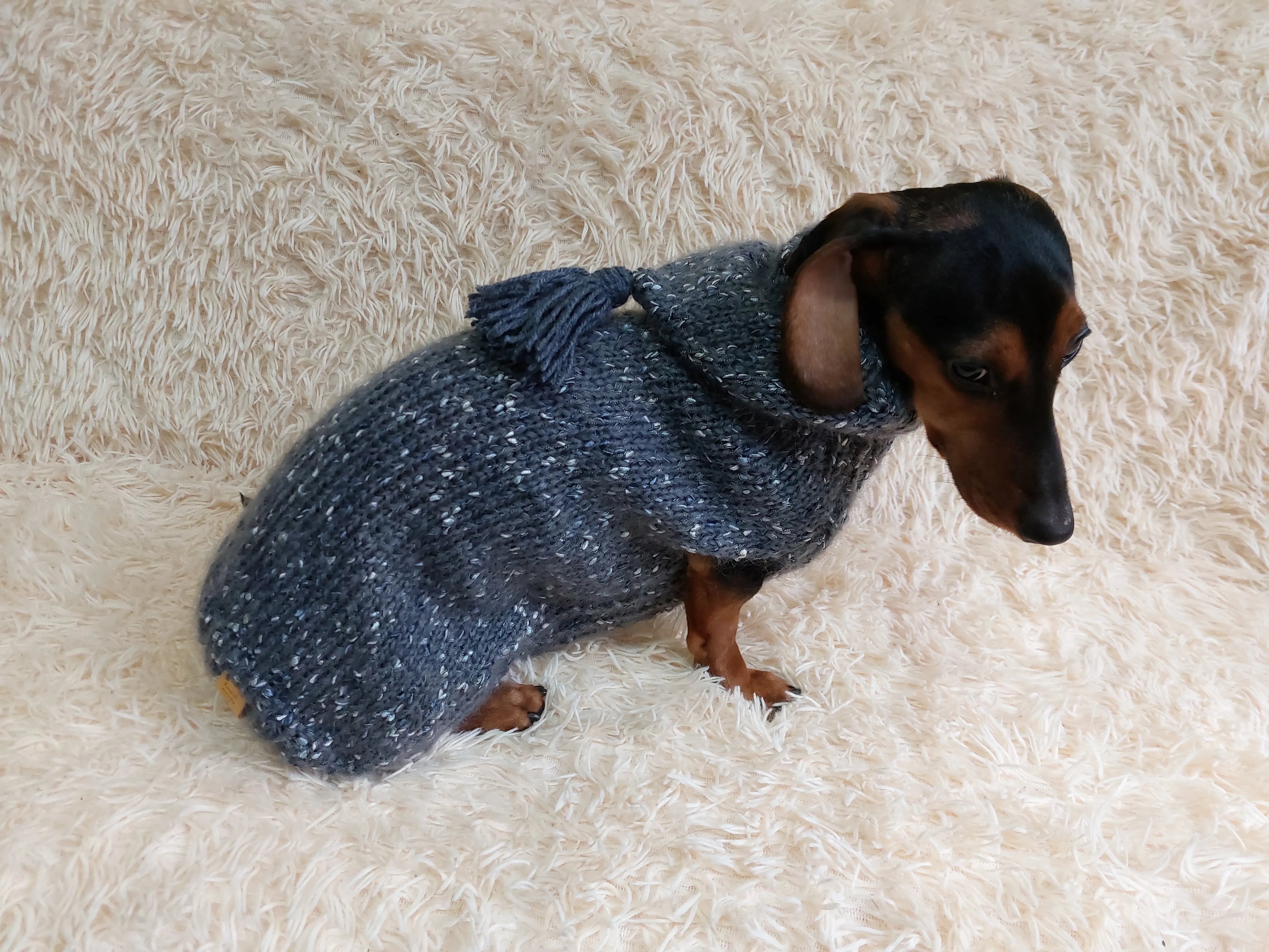 Warm wool sweatshirt for pets, hoodie for dogs