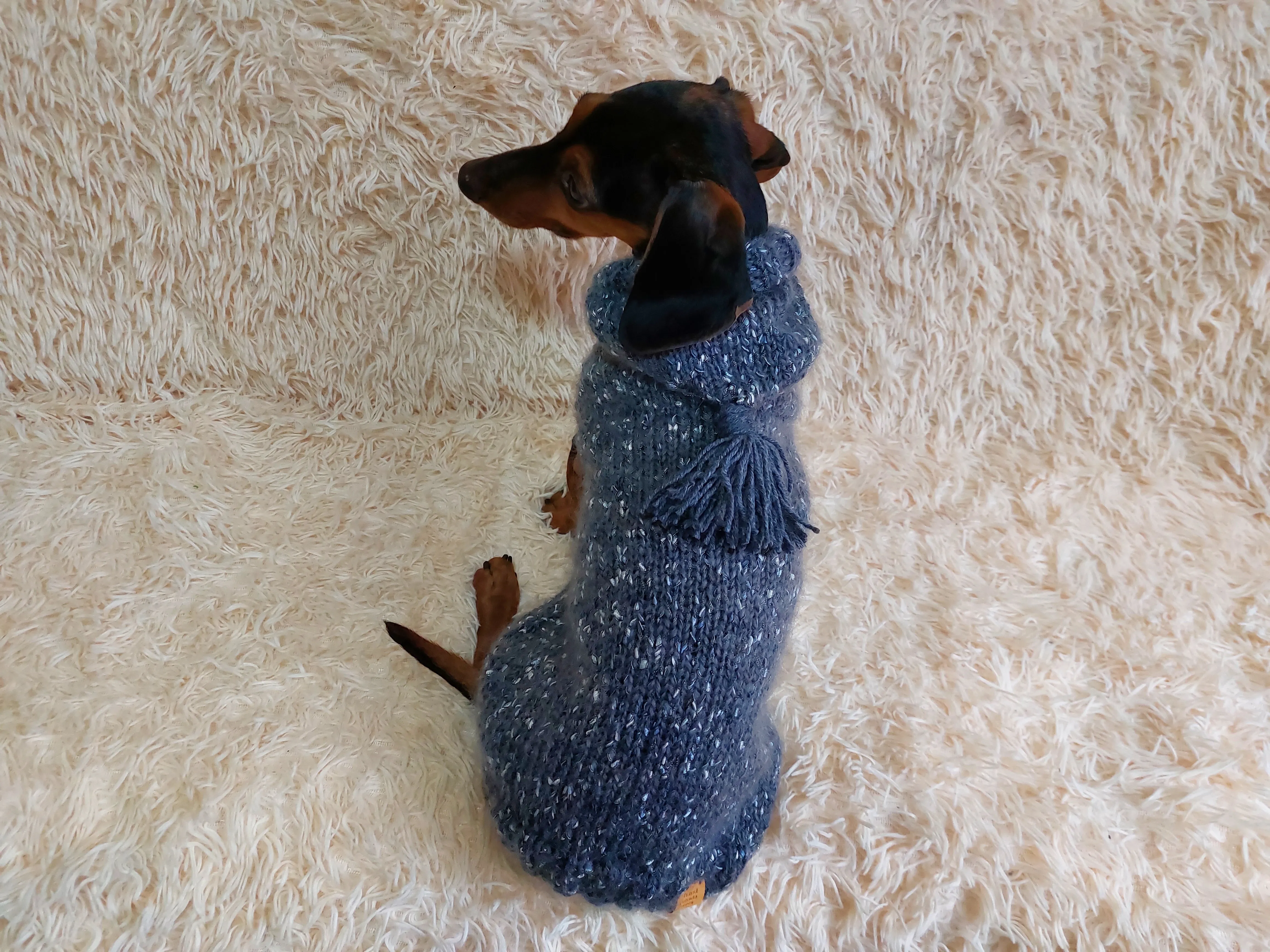 Warm wool sweatshirt for pets, hoodie for dogs