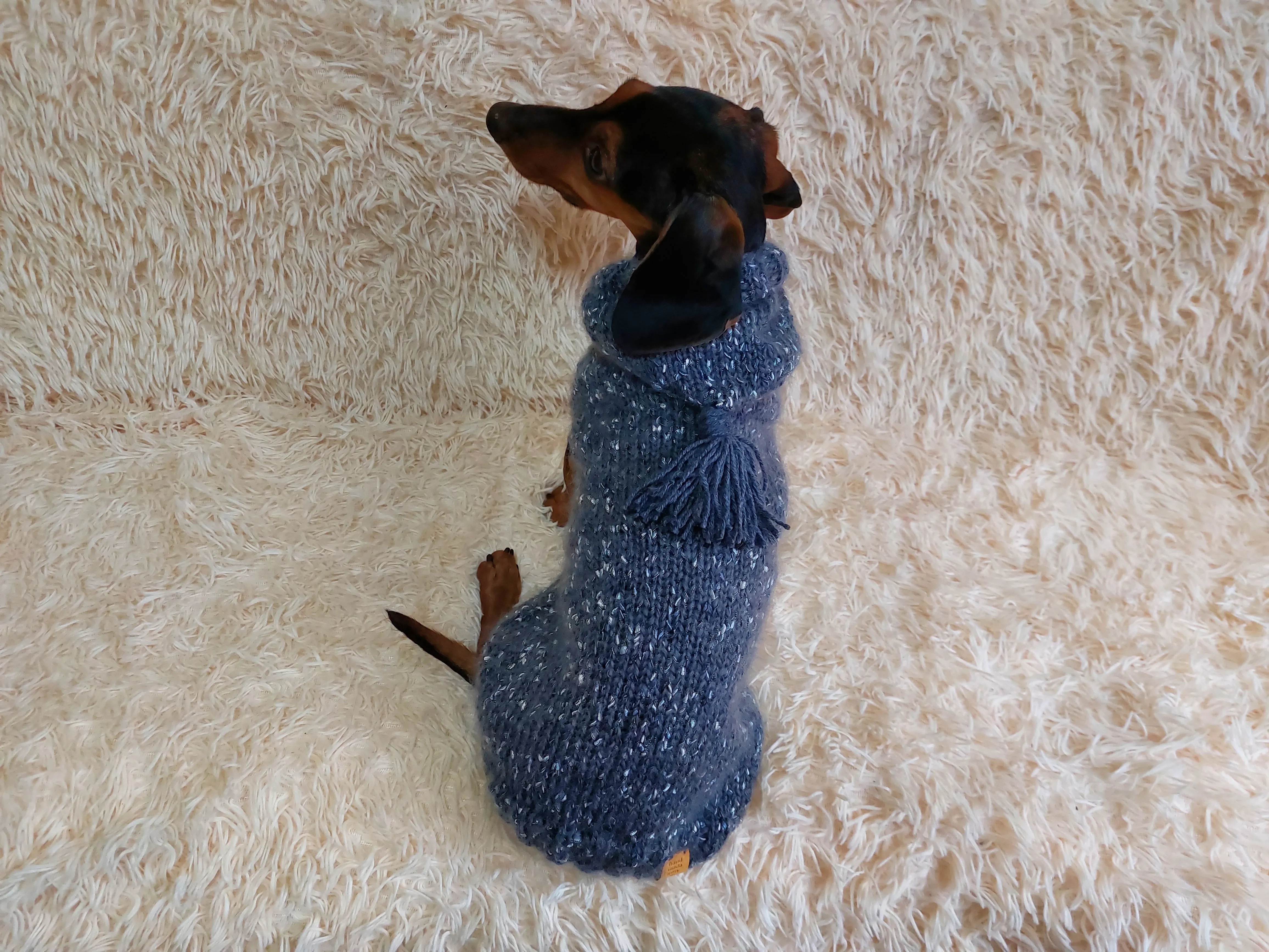 Warm wool sweatshirt for pets, hoodie for dogs